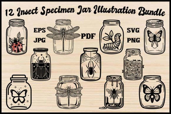 12 Insect Specimen Jar Illustration Set: Vintage Graphics & Illustrations