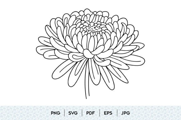 Chrysanthemum Flower Line Art SVG: Graphics & Illustrations for Sellers