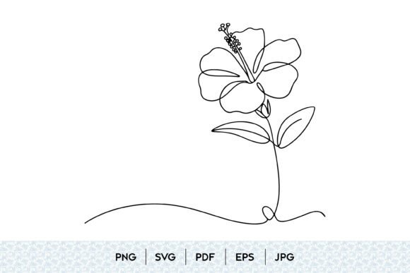 Hibiscus Flower One Line Art: Graphics & Illustrations
