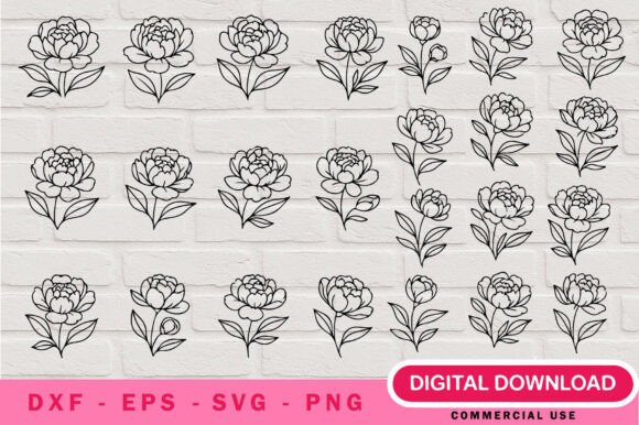Peony Outline SVG Bundle: Elegant Floral Graphics & Illustrations